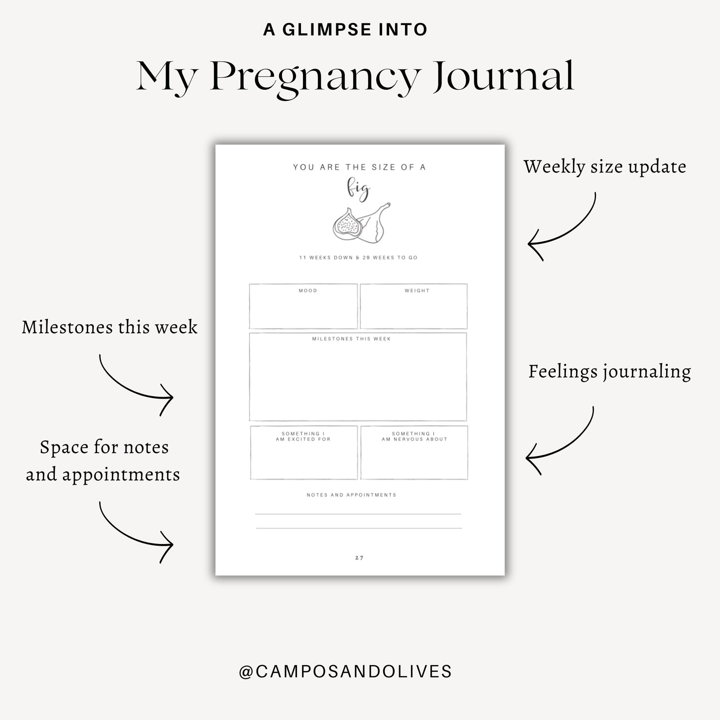 My pregnancy journal