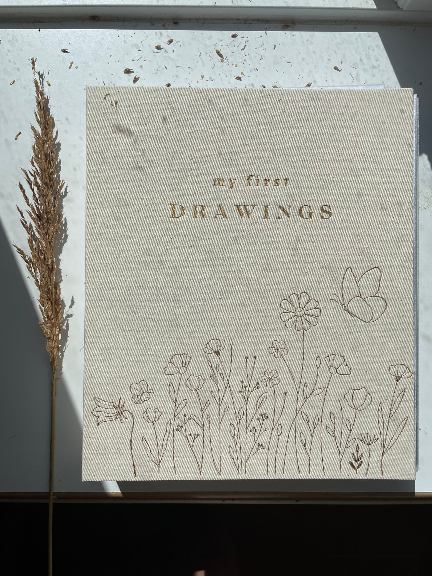 My First Drawings
